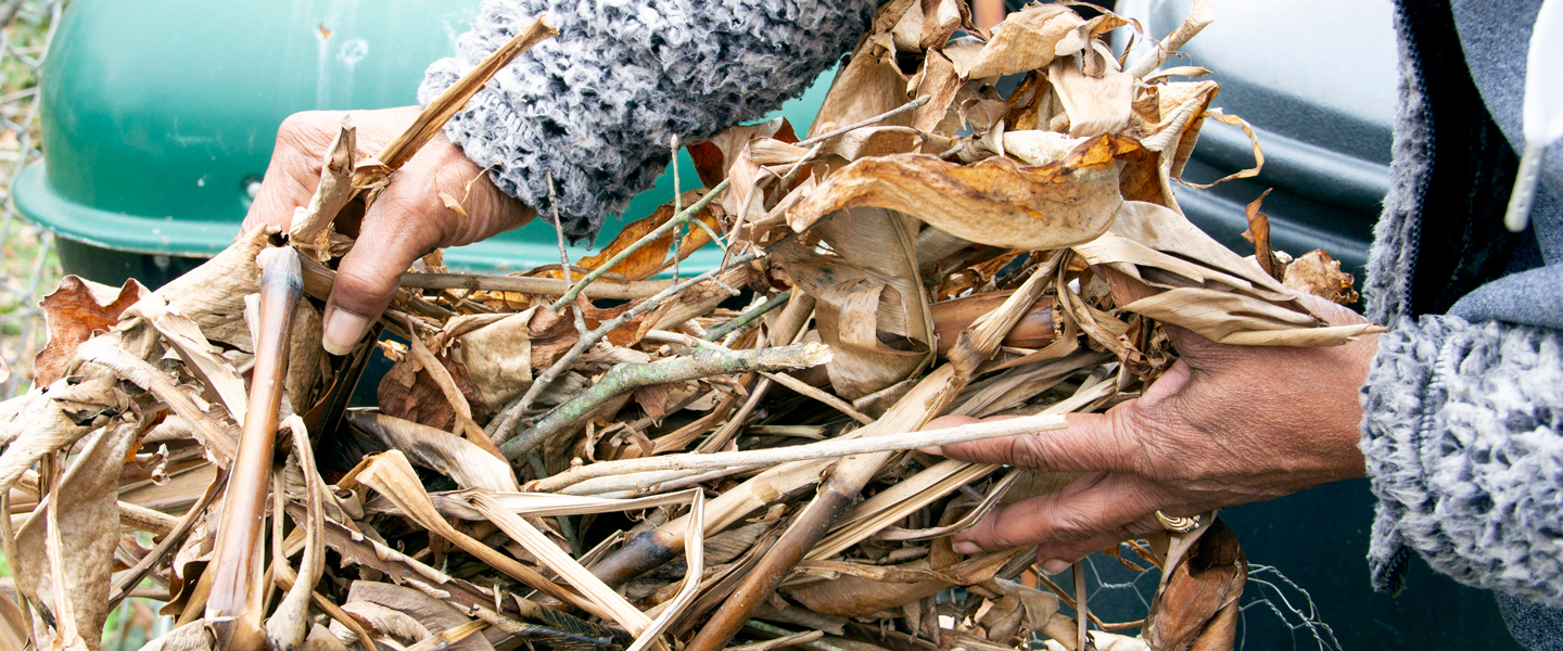 Composting 101 with Sustaining Way