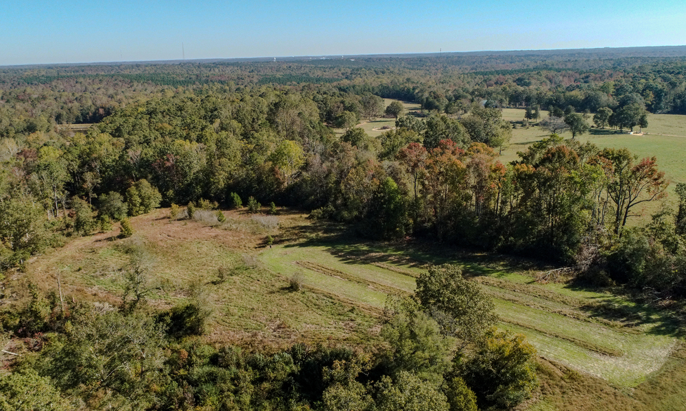 Upstate Forever, landowners protect more than 800 acres in Laurens and Union Counties