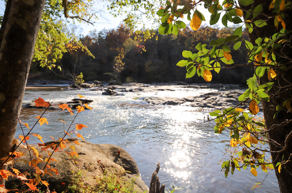 Tyger River Confluence