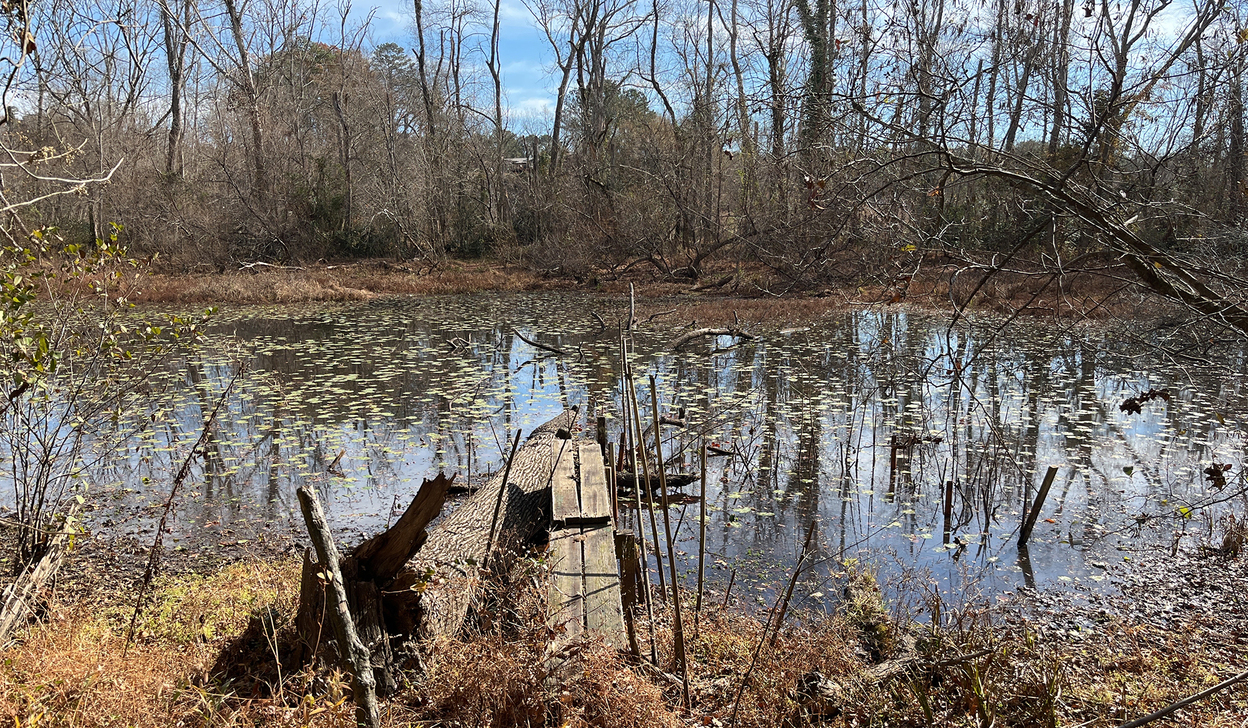Pond